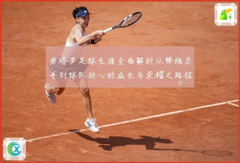 劳塔罗足球生涯全面解析从锋线杀手到球队核心的成长与荣耀之路程：最新赛事动态与深度分析